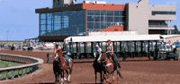 Arapahoe Park Racetrack | Colorado