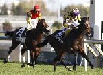 Horse racing in Canada