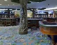 Sapphire Princess Cruise Ship