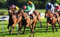 Gowran Park Horse Racecourse | Leinster Ireland