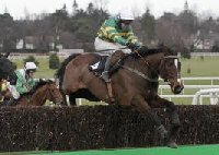 Leopardstown Racecourse | Dublin Ireland