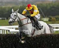Punchestown Horse Racecourse | Naas Ireland