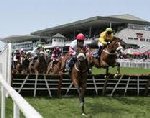 Irish horse races