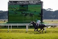 San Rossore Racecourse | Pisa Italy
