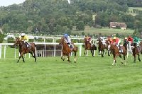 Hippodrome de Clairefontaine | Deauville France