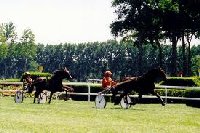 Hippodrome Le Lion D'Angers | France