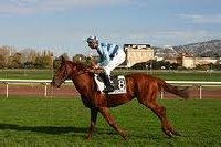 Hippodrome du Parc Borely | Marseille France