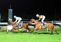 Hippodrome de la Cepiere |Toulouse France