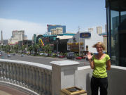 View of Las Vegas Blvd.