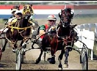 Hazel Park Raceway | Detroit Michigan