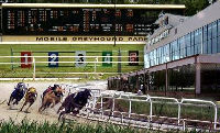 Mobile Greyhound Racetrack | Mobile Alabama