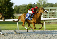 Turf Way Park Raceway, Kentucky