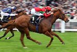 Horse Racing
