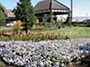 Wild Horse Casino in Oregon